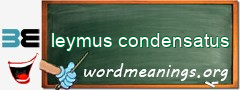 WordMeaning blackboard for leymus condensatus